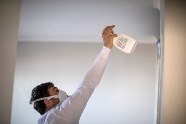  Grass Valley, CA Mold Removal Pros